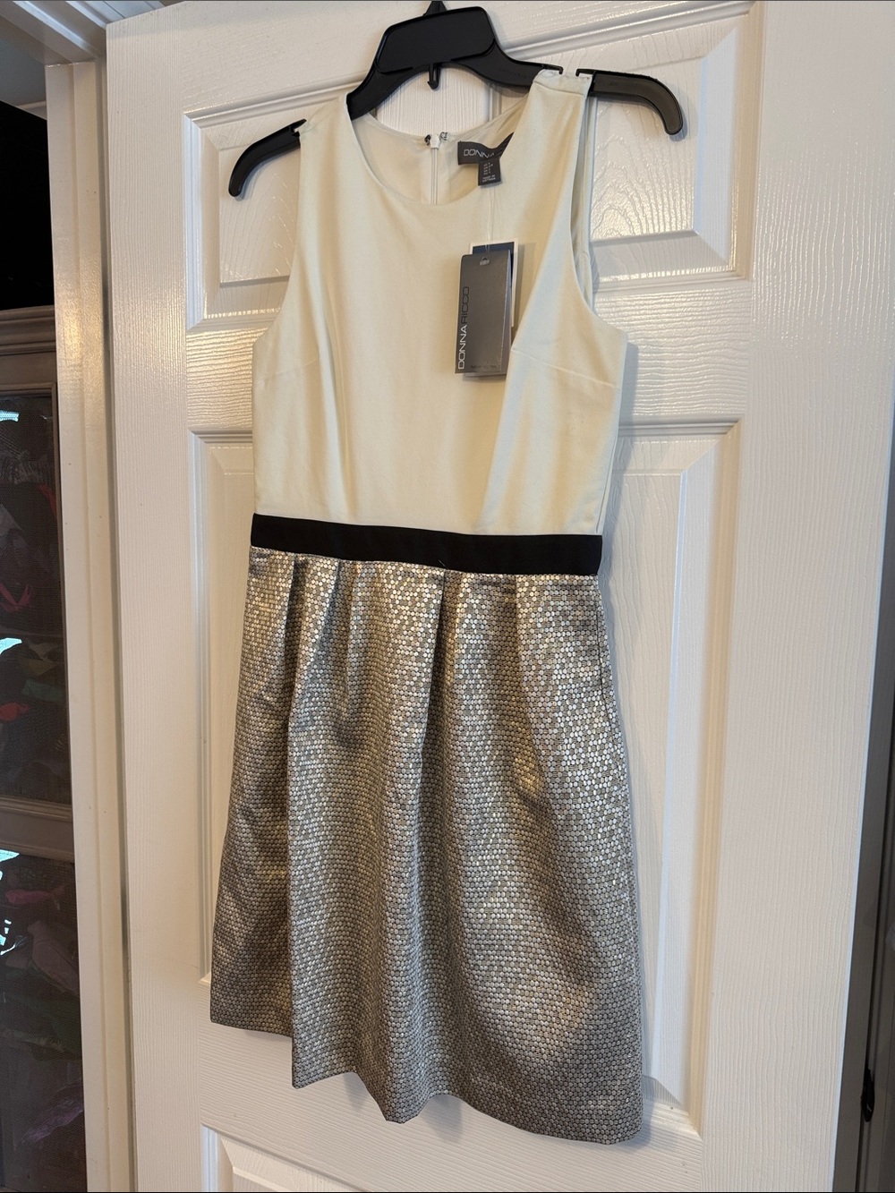 Donna Ricco Ivory and Silver Sleeveless Fit-and-Flare Dress